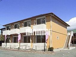 ルピナス　ムラーノ　Ｂ