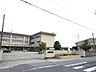 周辺：小学校「津市立南立誠小学校まで484m」