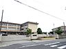 周辺：小学校「市立南立誠小学校まで390m」