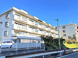 カーサウッドスプリング