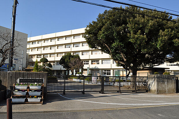 船橋市立坪井小学校570m徒歩8分