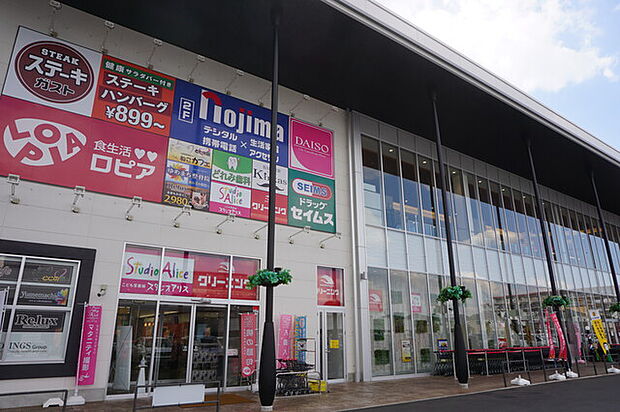 ゆめまち習志野台モール1000m徒歩13分