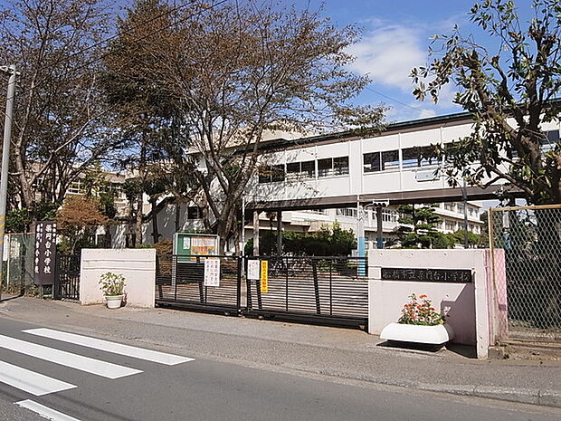 船橋市立薬円台小学校590m徒歩8分