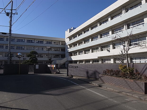船橋市立七林中学校540m徒歩7分