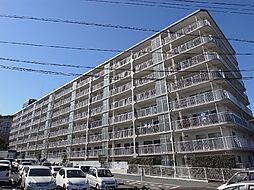 サニータウン習志野台サンハイツ