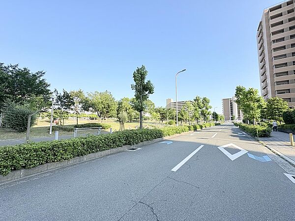 前面道路の様子です