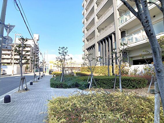○現地前面歩道...