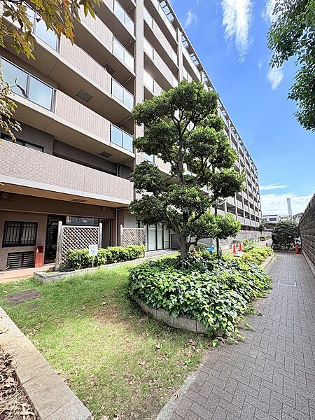 ●現地　マンション敷地内の様子