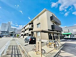 タートル　エイト