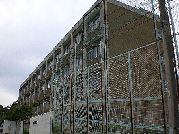 神戸市立甲緑小学校