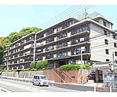 京都市伏見区桃山町伊賀 5階建 築44年のイメージ