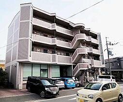 ルネハイツ芝生