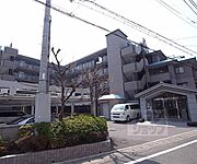 嵯峨嵐山駅より徒歩15分 5階 築29年1ヶ月の賃貸物件
