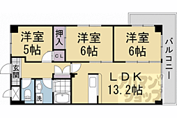 サウスビン 5階3LDKの間取り