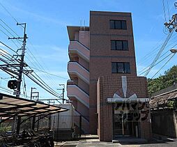 ＬＥＯ　ＶＩＶＡＣＥ