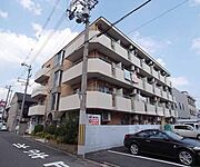 セントラルシティーハイツ 3階 築42年7ヶ月の賃貸物件