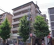 プラムタウンイマイ 2階 築38年4ヶ月の賃貸物件