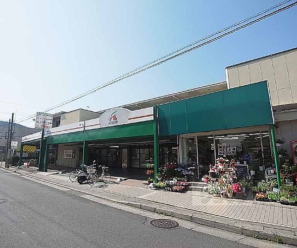 画像30:エーコープ京都中央岩倉店まで246m 年中無休9：30−20：00
