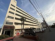 中善ハイツ 5階 築46年5ヶ月の賃貸物件