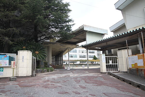 画像16:下関市立養治小学校（584m）