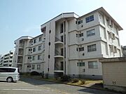 2階 築50年10ヶ月の賃貸物件