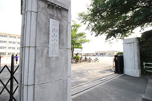 下関市立向山小学校（297m）