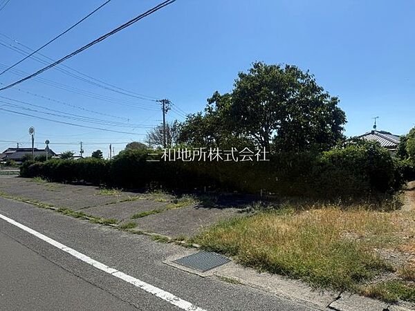 外観：335000035019