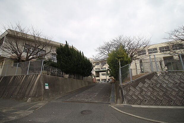 下関市立川中小学校(897m)