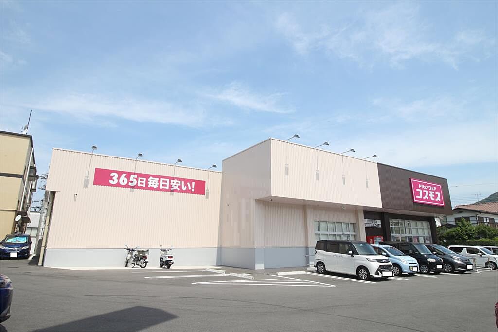 Image 12