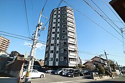 オーヴィジョン山の田南