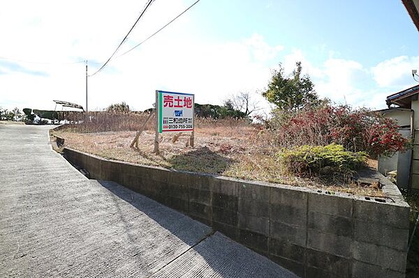 外観：335000031212