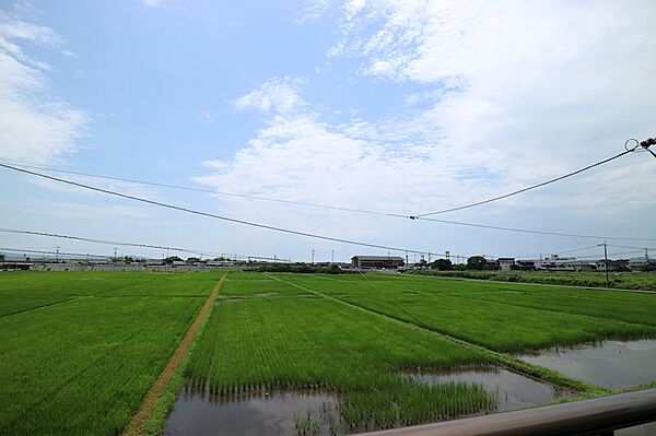 バルコニーからは長閑な田園風景が広がります