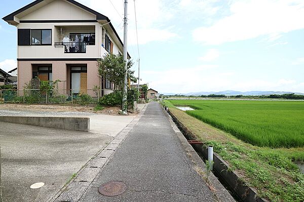 緑豊かな環境です