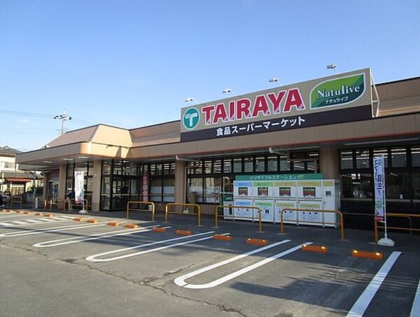 画像17:【スーパー】ワッツウィズ川島TAIRAYA店まで7024ｍ
