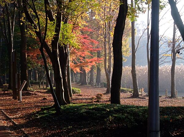 画像24:【公園】同峰公園まで537ｍ