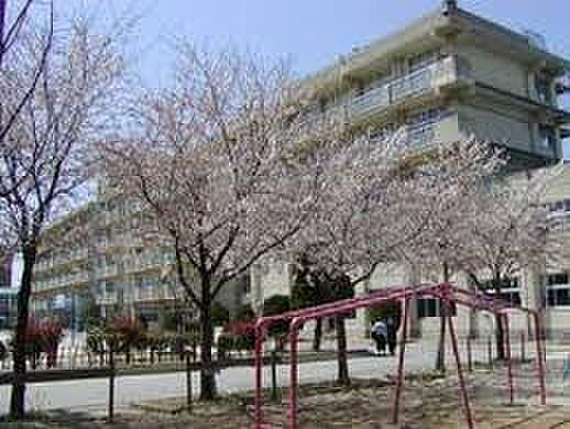 画像22:【小学校】横須賀小学校まで948ｍ