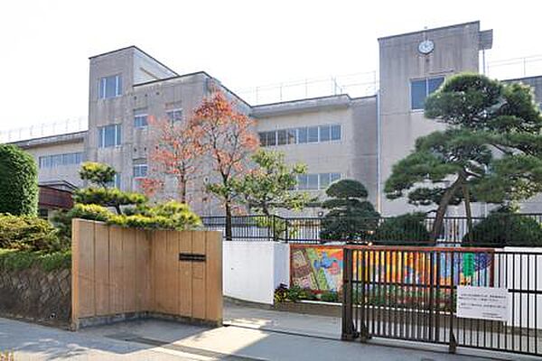 画像16:【中学校】柏市立松葉中学校まで356ｍ