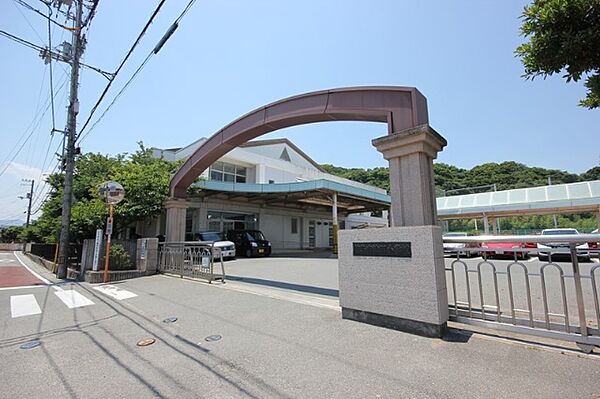 画像17:小学校「徳島市立津田小学校まで1014m」