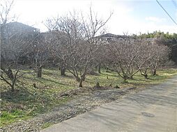 茨城県石岡市若宮4丁目