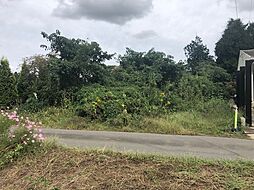 茨城県つくば市要元南口の堀