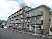 醍醐南市営住宅１１棟 5階 築47年9ヶ月の賃貸物件