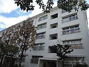 石田駅より徒歩8分 3階 築50年7ヶ月の賃貸物件