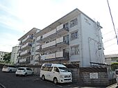 京都市伏見区桃山町立売 5階建 築43年のイメージ