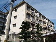 富野荘駅より徒歩9分 築47年7ヶ月 4階建の賃貸物件