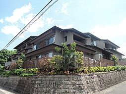 近鉄京都線 近鉄丹波橋駅 徒歩7分の賃貸テラスハウス