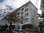 石田駅より徒歩9分 4階 築50年11ヶ月の賃貸物件