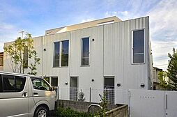 ニシオギソウ 2