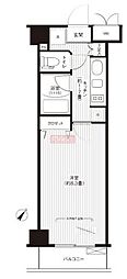 ステラメゾン荻窪 1Kの間取図画像