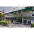 周辺：ドラッグストア 「ドラッグセイムス太田窪店まで450m」ドラッグセイムス太田窪店
