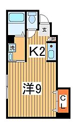 セノーテ 1階ワンルームの間取り
